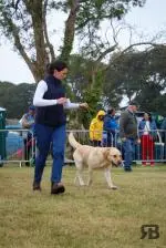 IMG-20260922-WA0045