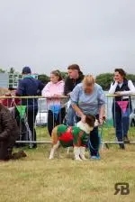 IMG-20260922-WA0032