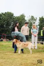 IMG-20260922-WA0054