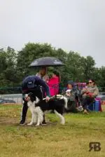 IMG-20260922-WA0034